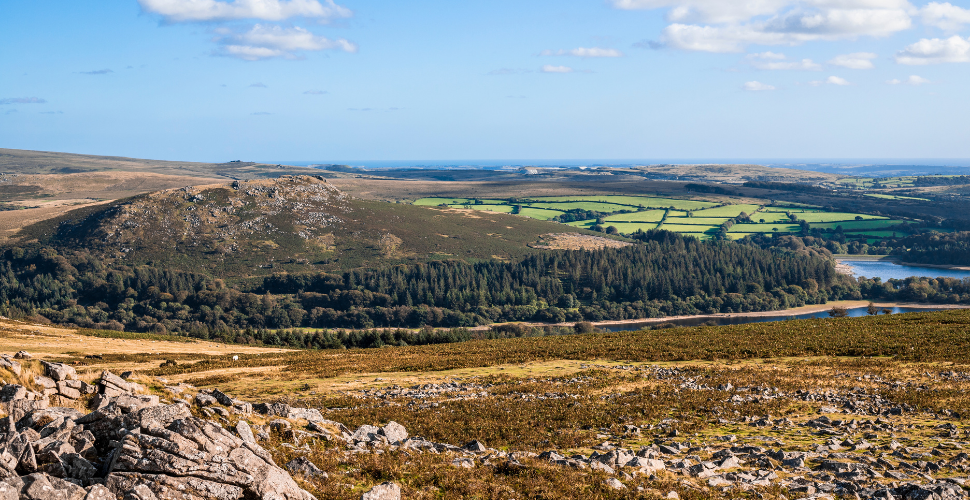 Dartmoor landscape